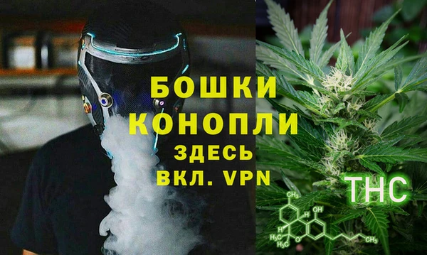 СК Алексин