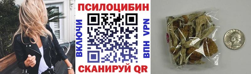 где найти наркотики  Лебедянь  Галлюциногенные грибы GOLDEN TEACHER 